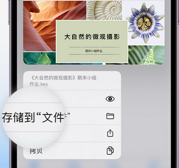 吉安apple维修中心分享iPhone文件应用中存储和找到下载文件