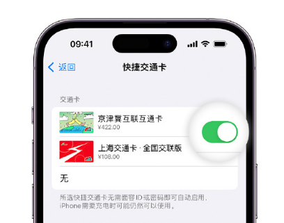 吉安apple维修点分享iPhone上更换Apple Pay快捷交通卡手绘卡面 