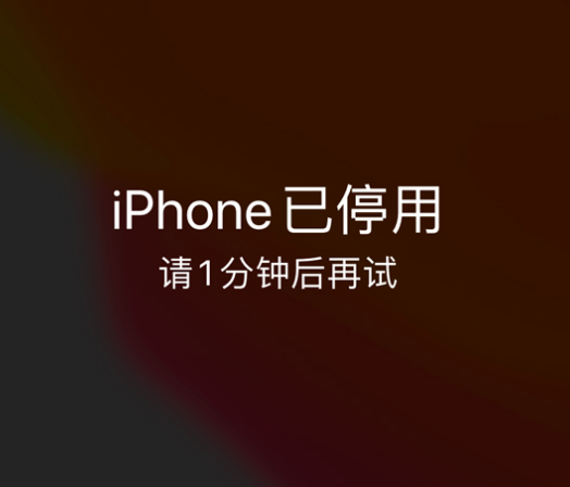 吉安苹果手机维修分享:iPhone 显示“不可用”或“已停用”怎么办？还能保留数据吗？ 