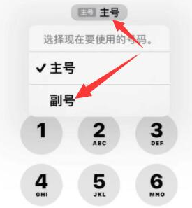 吉安苹果14维修店分享iPhone 14 Pro Max使用副卡打电话的方法 