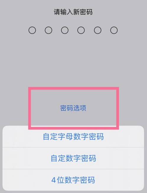 吉安苹果14维修分享iPhone 14plus设置密码的方法 