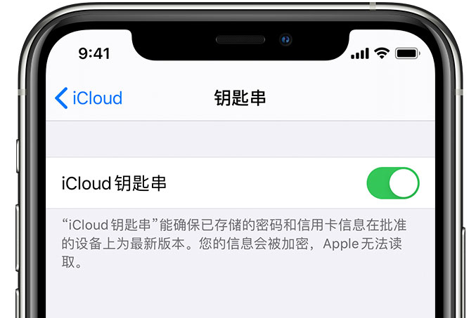 吉安苹果手机维修分享在 iPhone 上开启 iCloud 钥匙串之后会储存哪些信息 