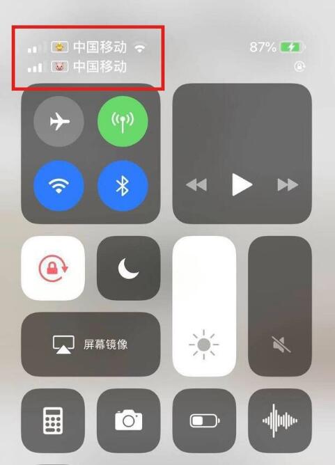 吉安苹果手机维修分享为 iPhone 12 双卡设置标签 